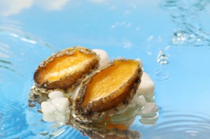 Frozen Blanched Abalone Meat