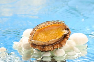 Frozen Abalone With Shell & Viscera